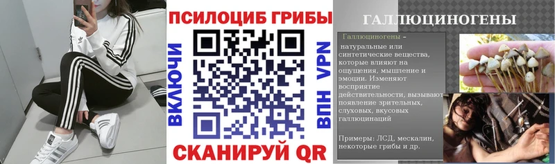 Псилоцибиновые грибы Cubensis  Купить закладки  Тольятти 